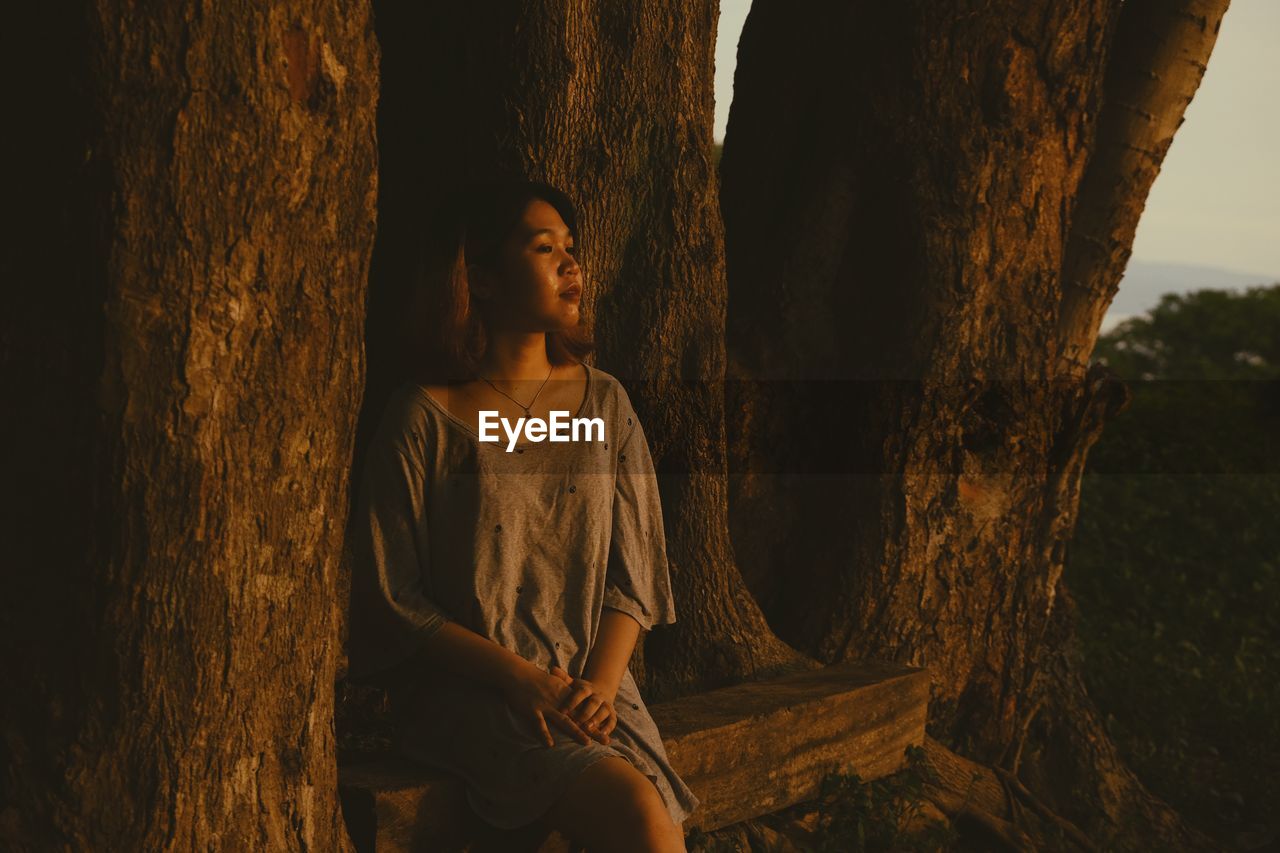 Young woman looking away while sitting on tree trunk