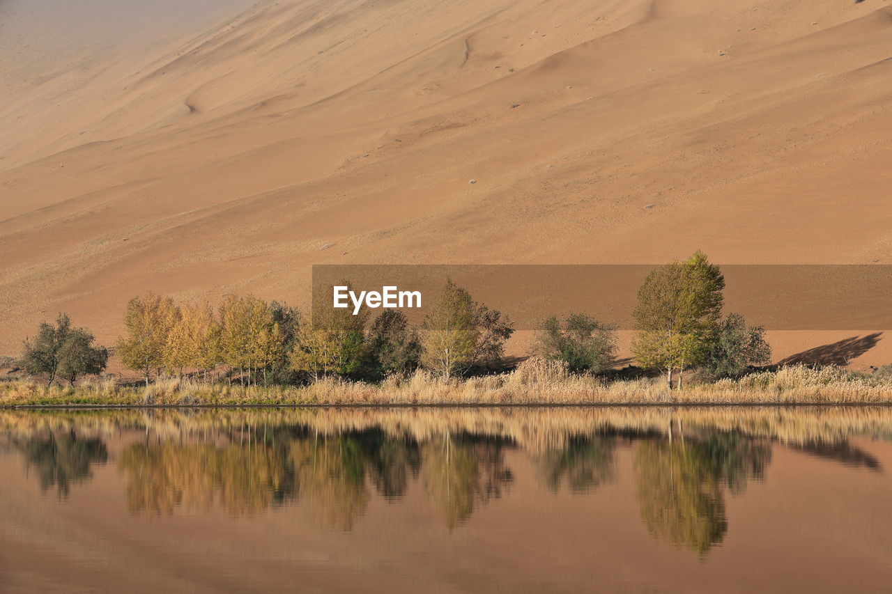 1204 sumu jaran lake's western megadune reflected on mirroring water. badain jaran desert-china.