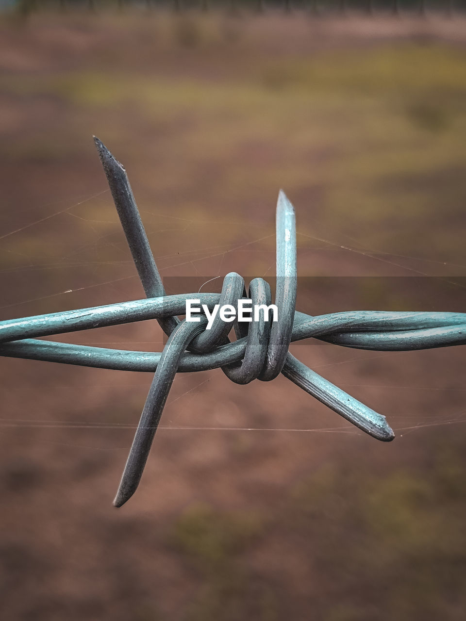 close-up of barbed wire on field