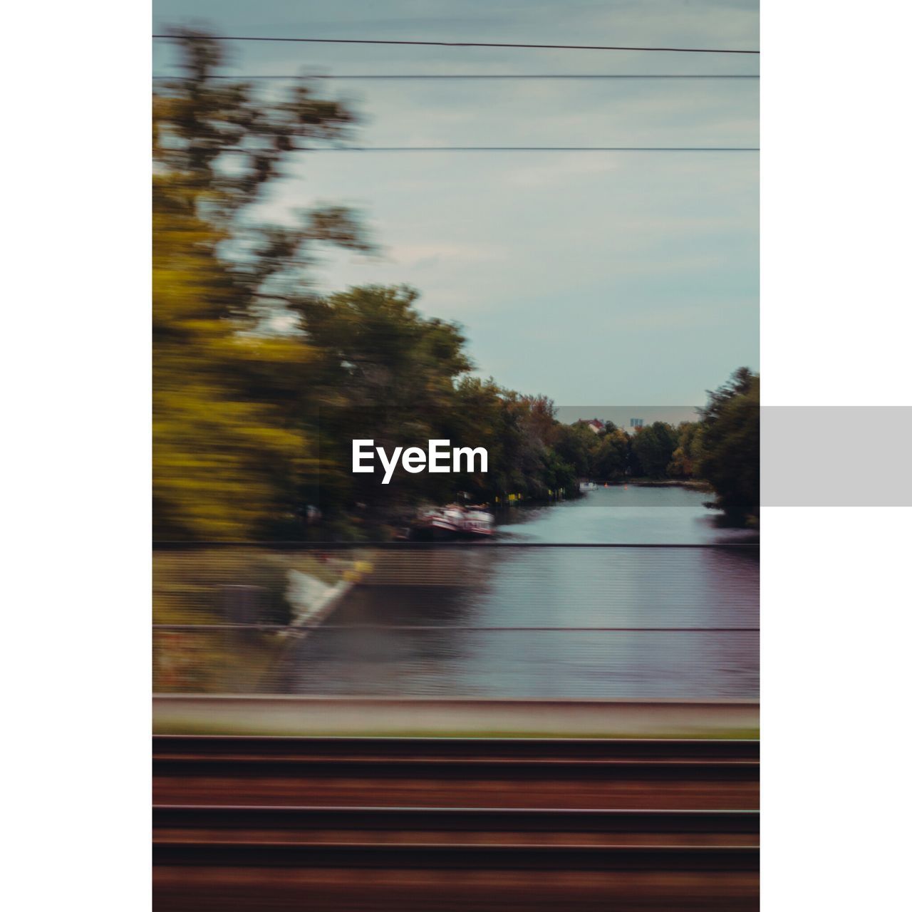 BLURRED MOTION OF VEHICLE ON TREE