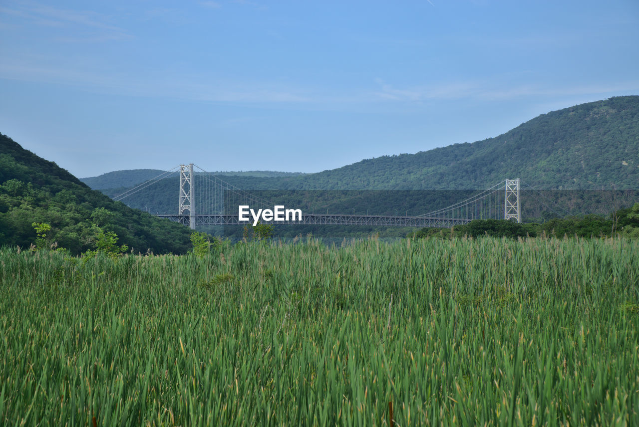 SCENIC VIEW OF FIELD BY BRIDGE AGAINST SKY