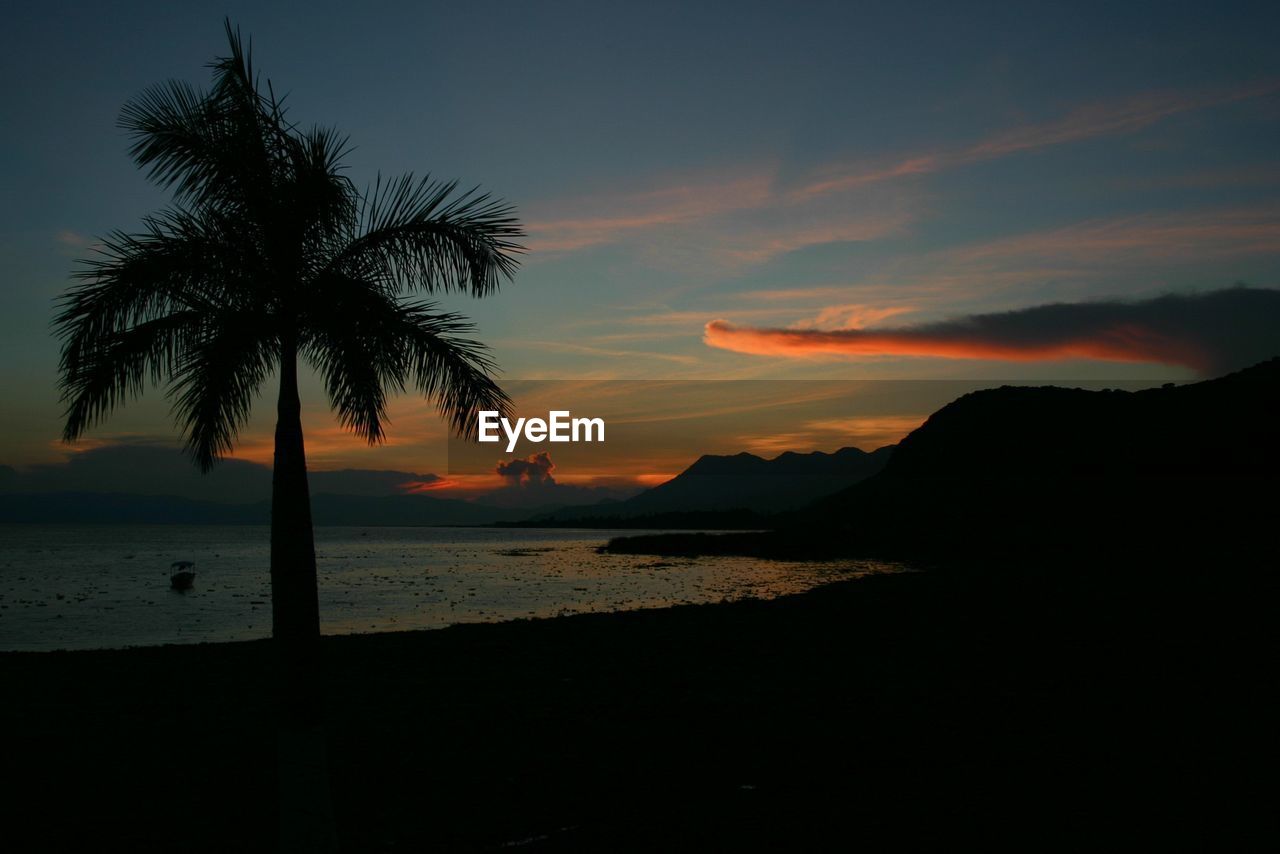 Silhouette trees by calm sea at sunset