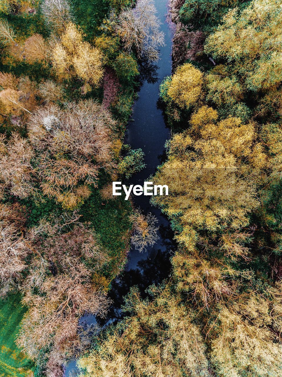 High angle view of river amidst autumn trees