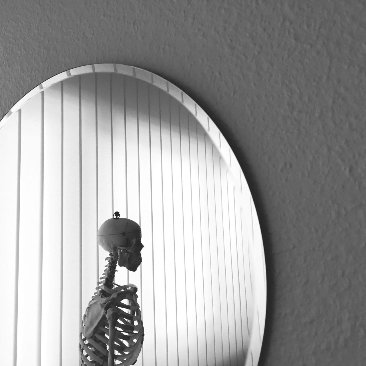 Reflection of skeleton in mirror on wall