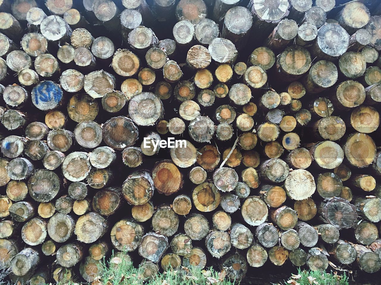 STACK OF LOGS