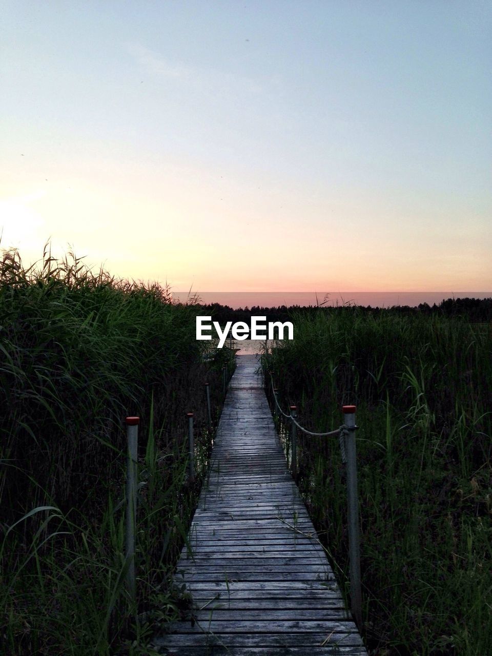 Boardwalk amidst plants and grass against clear sky