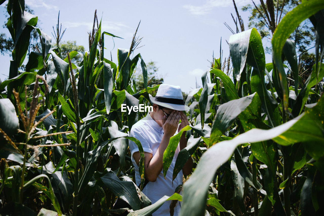 Man covering face in corn field