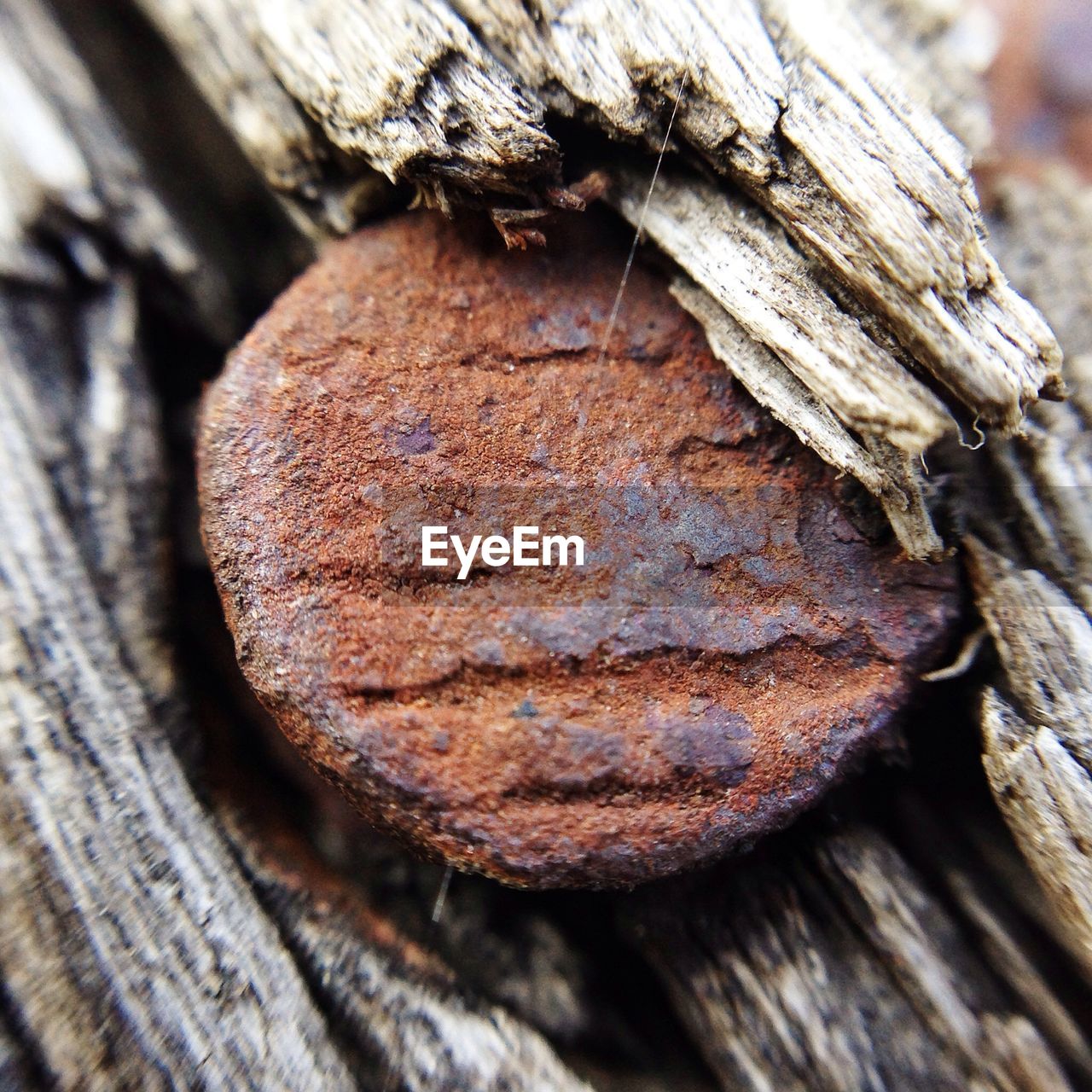 Close-up of rusty metal and wood