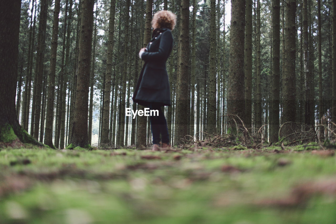 Full length of a woman in forest