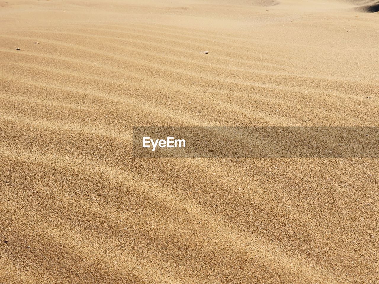 HIGH ANGLE VIEW OF SAND DUNE