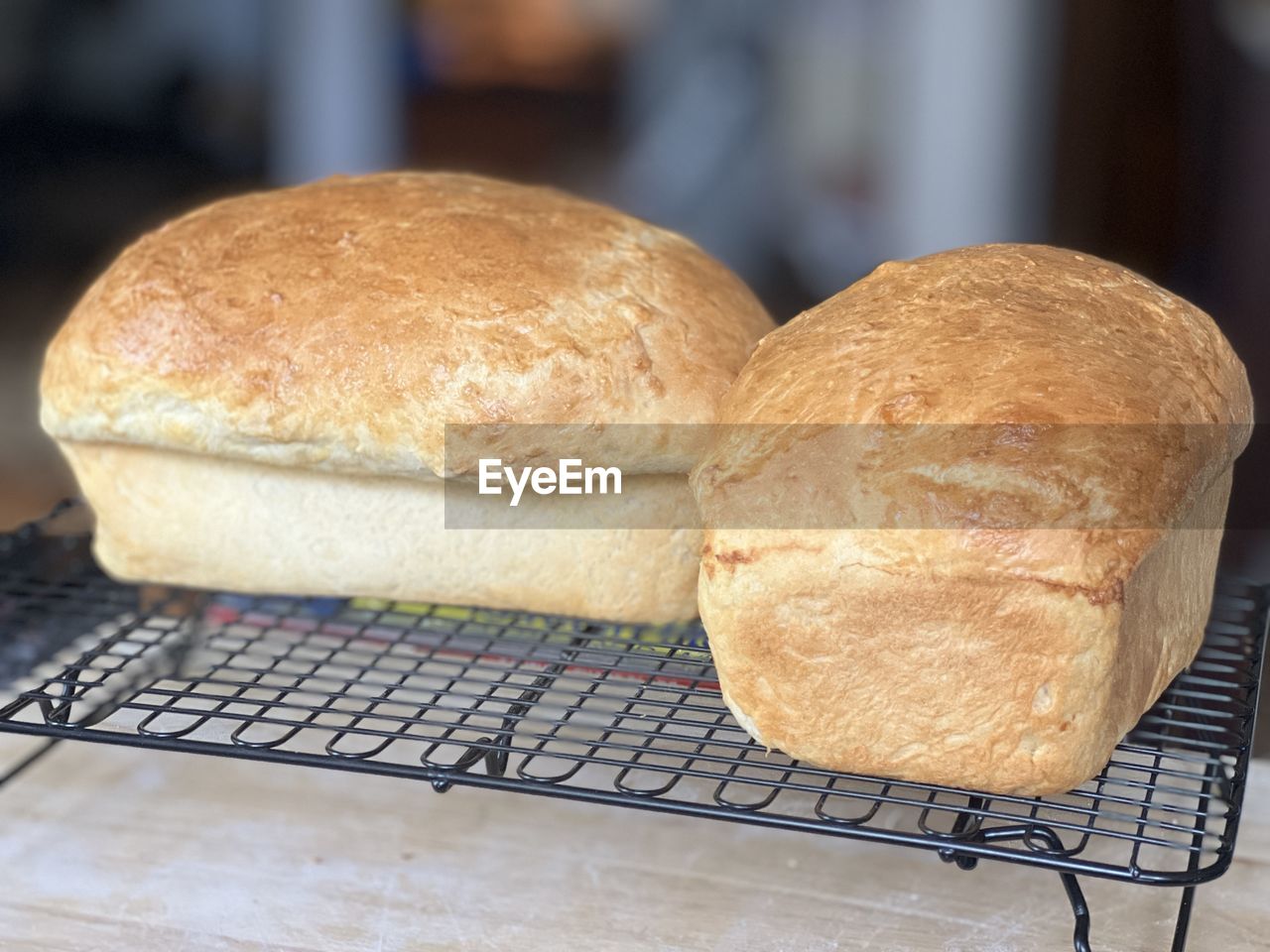 food, food and drink, bread, freshness, fast food, loaf of bread, healthy eating, store, baked, indoors, wellbeing, no people, ciabatta, close-up, meal, bakery, brioche, appliance, baking bread, bun, rye bread, breakfast, focus on foreground, bread roll, table, still life, sourdough