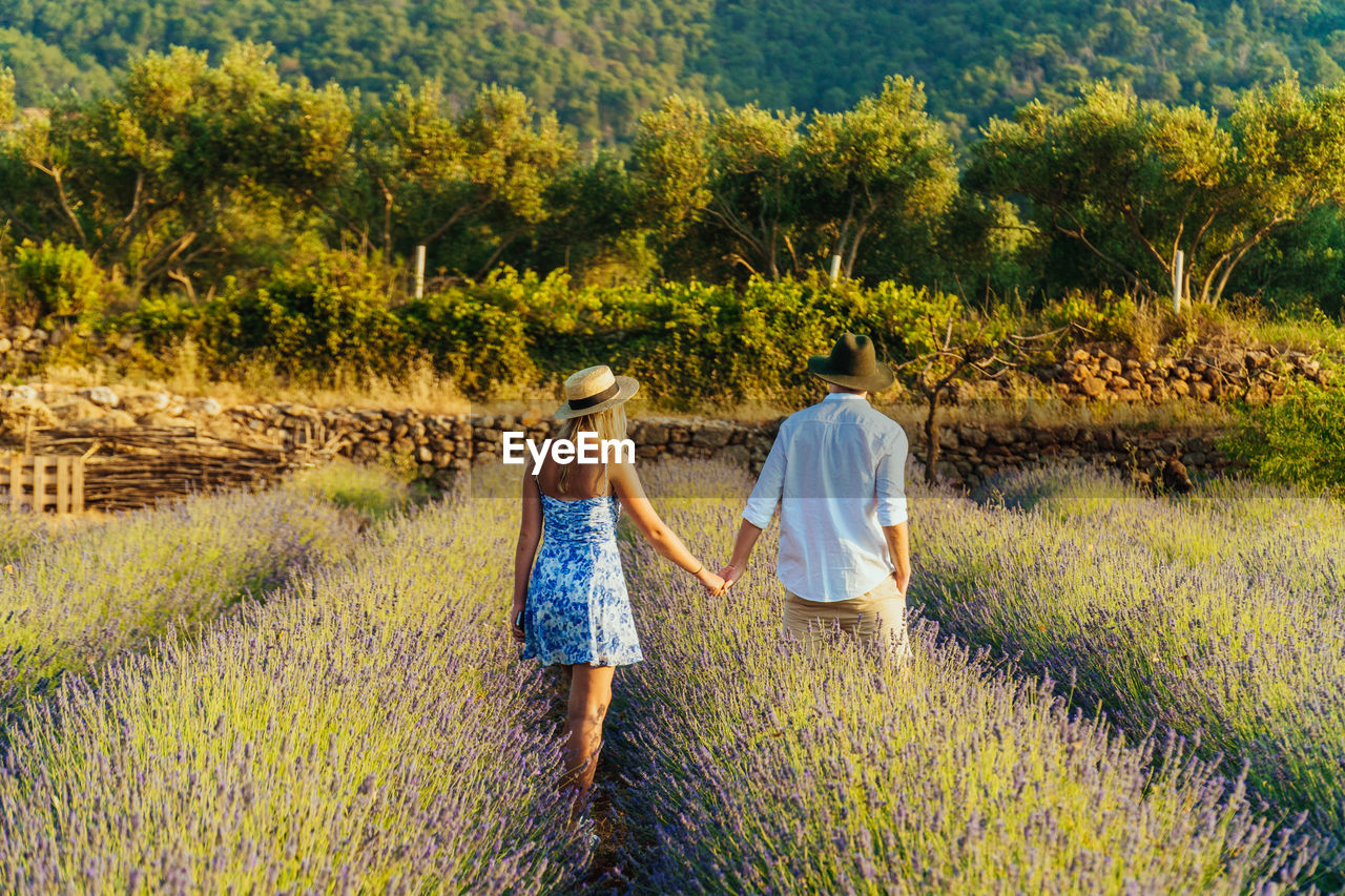 Couple strolling through beautiful fields of lavender on an eco-farm.