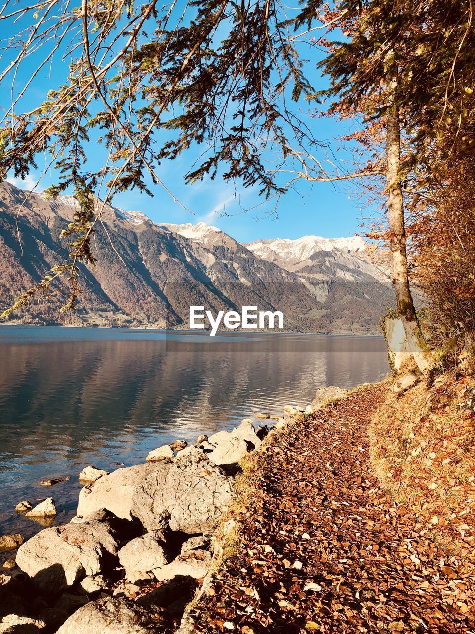 Scenic view of lake by mountains in autumn