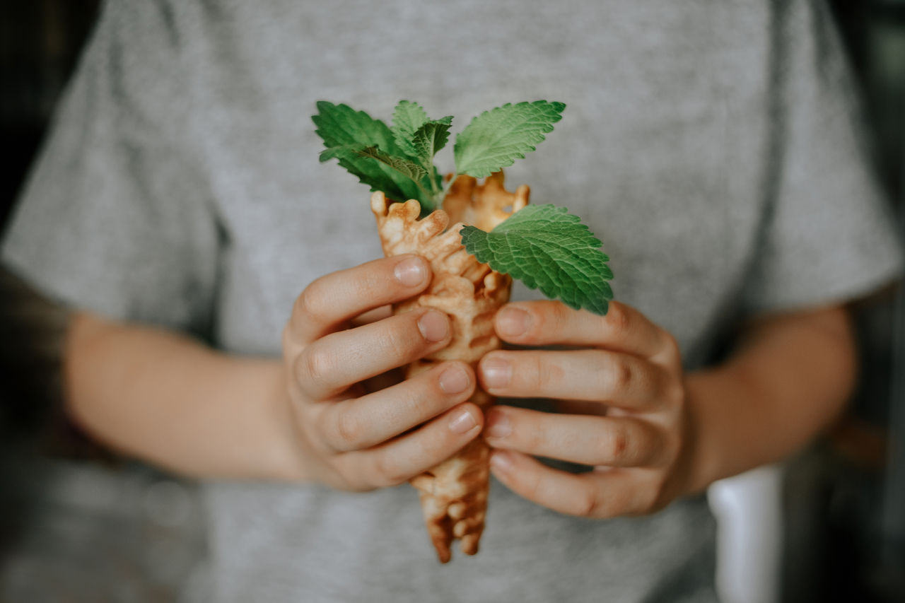 Midsection of man having ice cream cone with herbs
