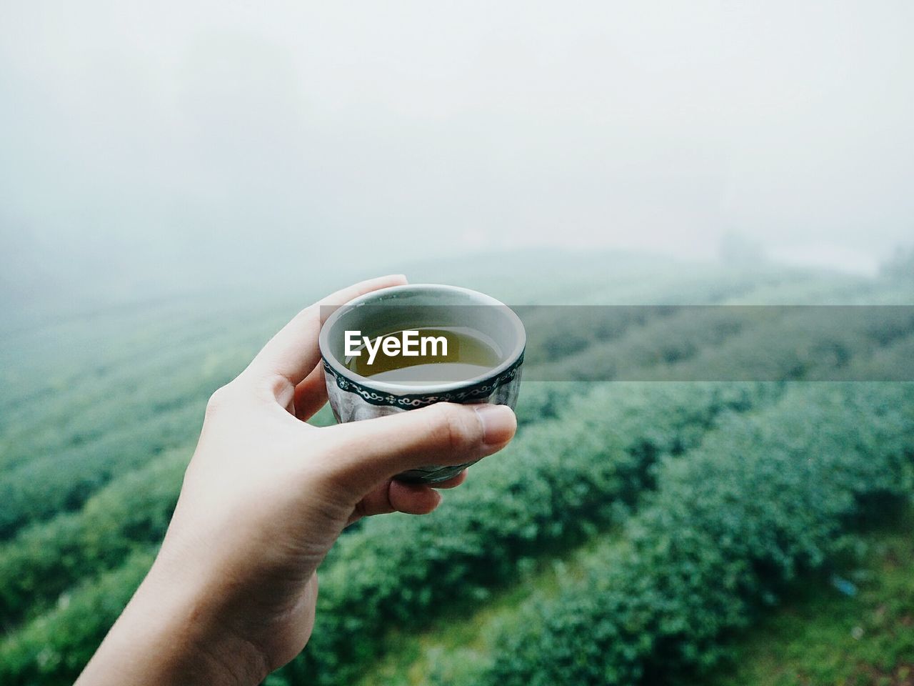 Cropped hand holding tea in cup against farm during foggy weather