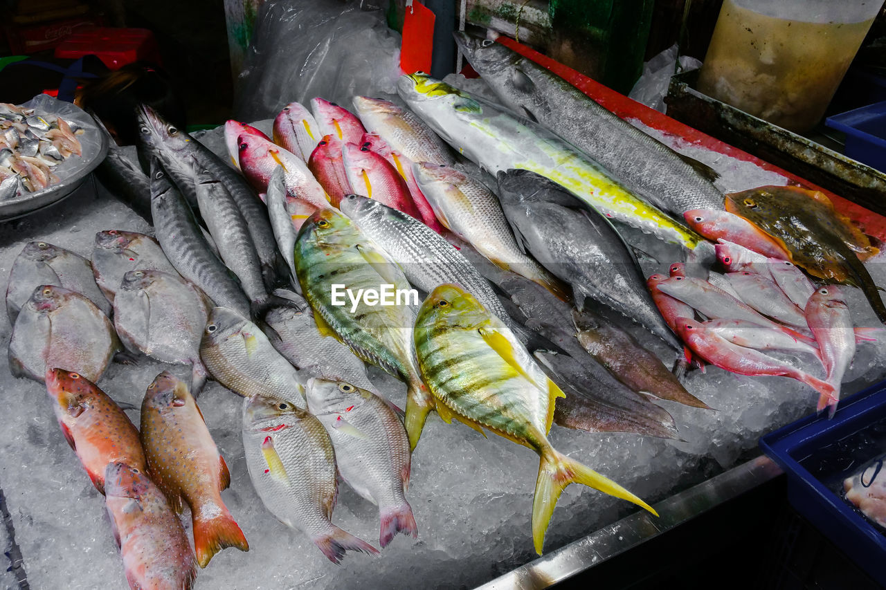Many kinds of fresh fish on ice at seafood market.