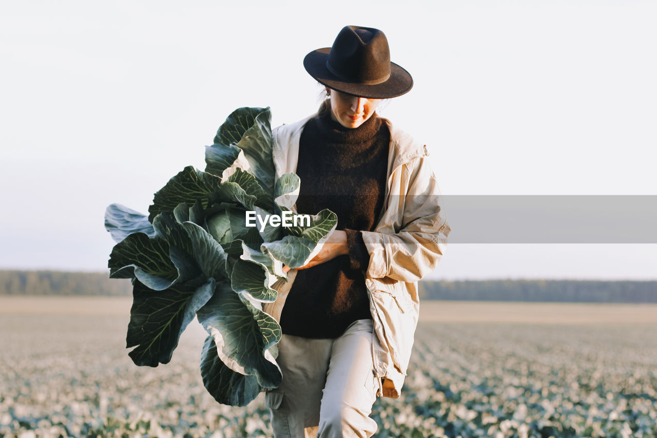 Woman picking cabbage vegetable at field. female farmer working at organic farm.harvesting at autumn
