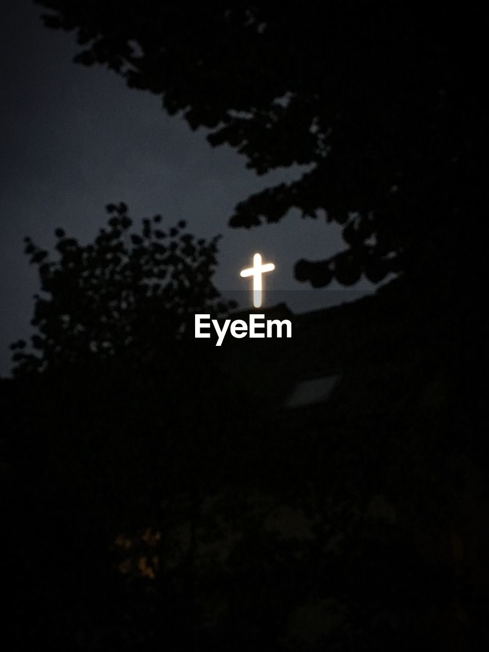 LOW ANGLE VIEW OF TREE AGAINST SKY AT NIGHT