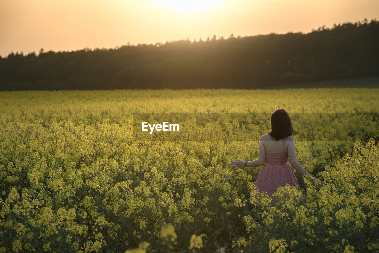 Rear view of woman walking amidst oilseed rape field against sky during sunset