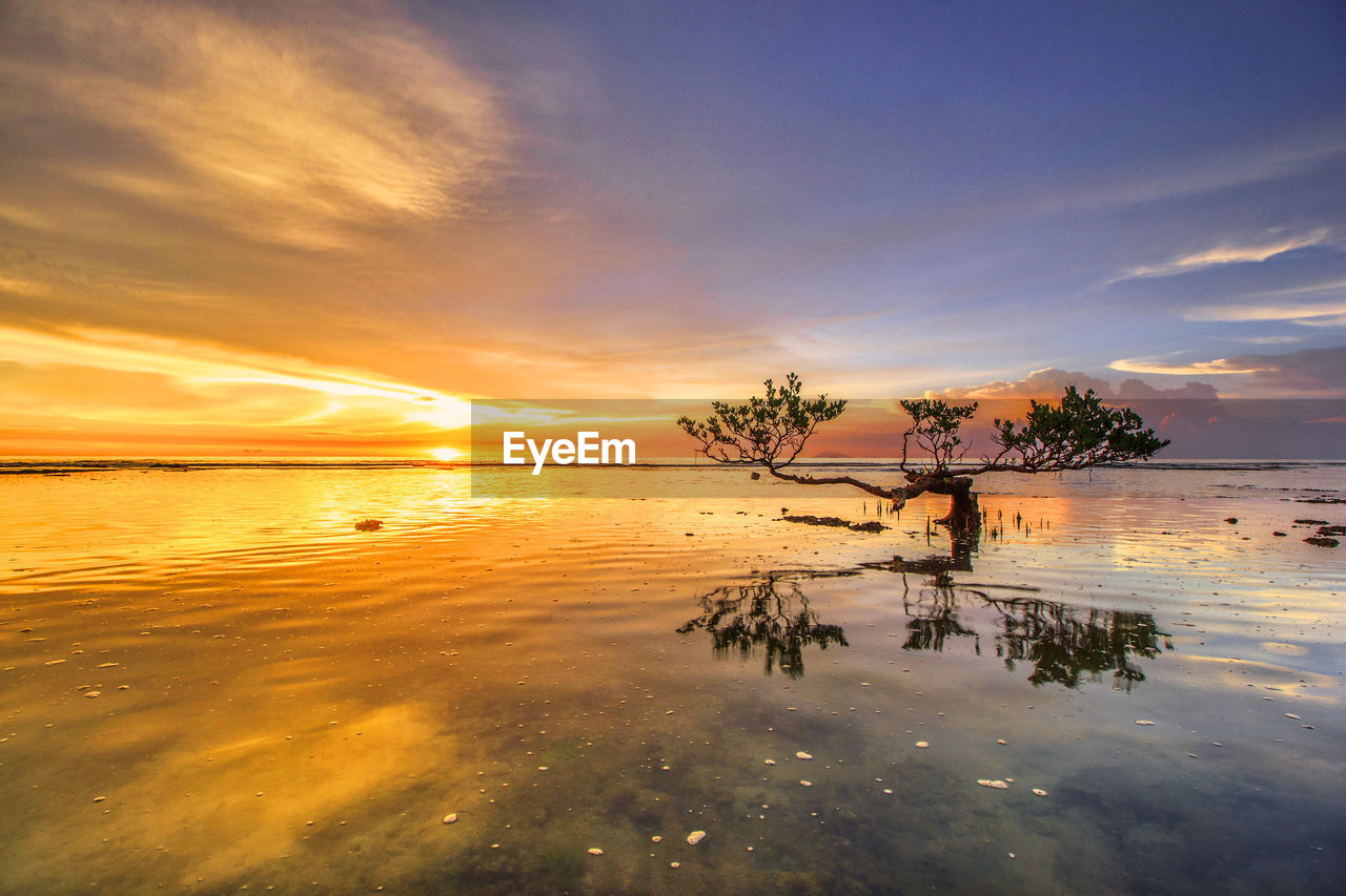 Scenic view of sea against sky at sunset