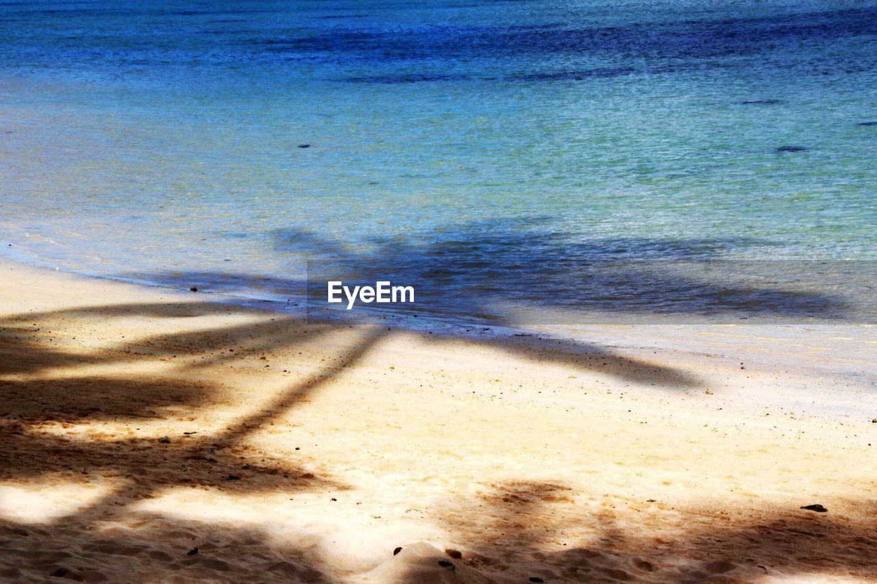 Coconut tree shadow on sea
