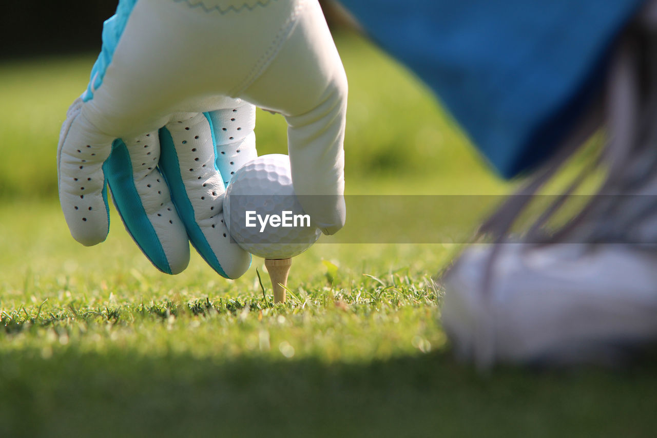 Cropped image of person placing golf ball on tee