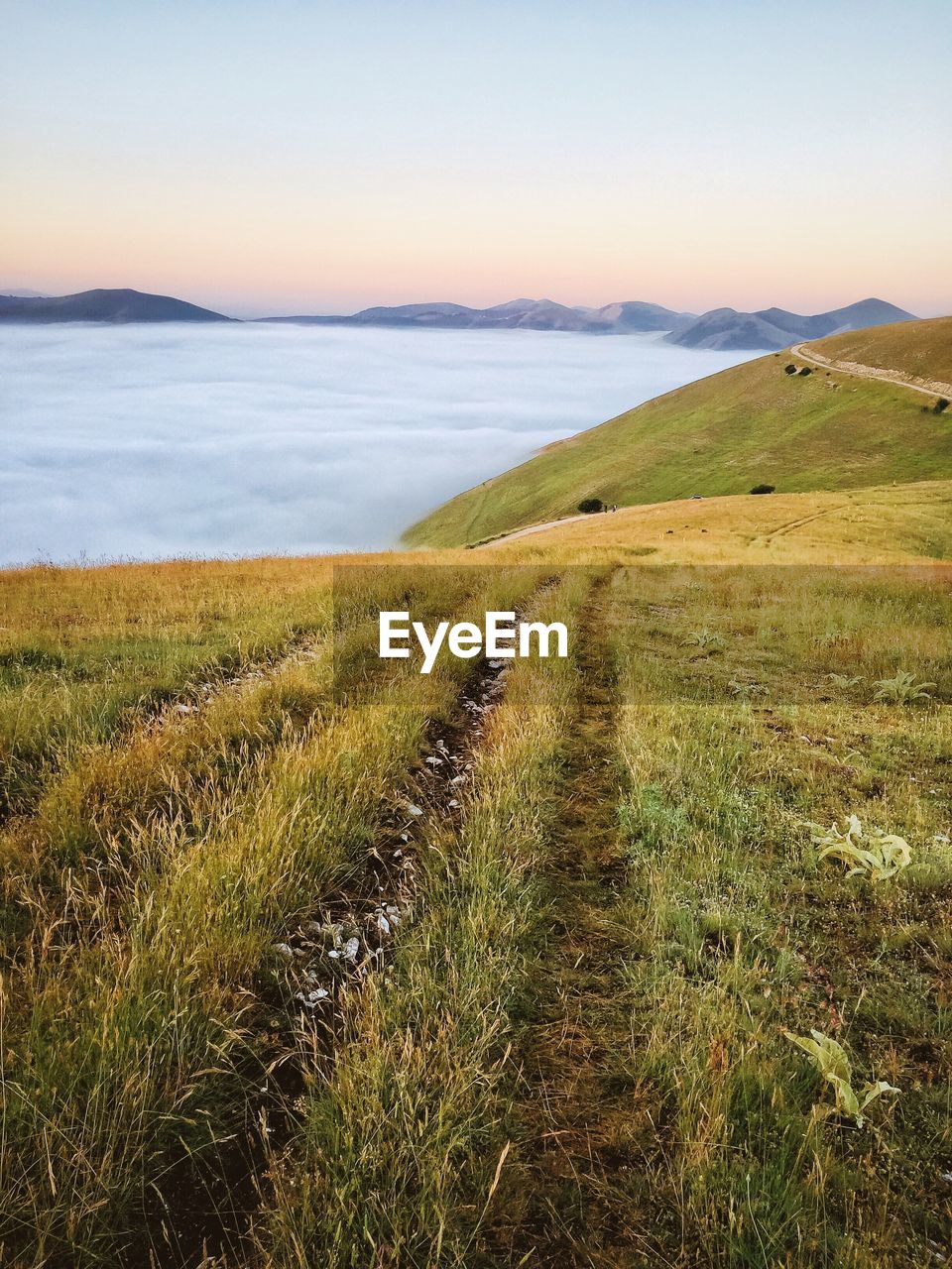 Scenic view of landscape