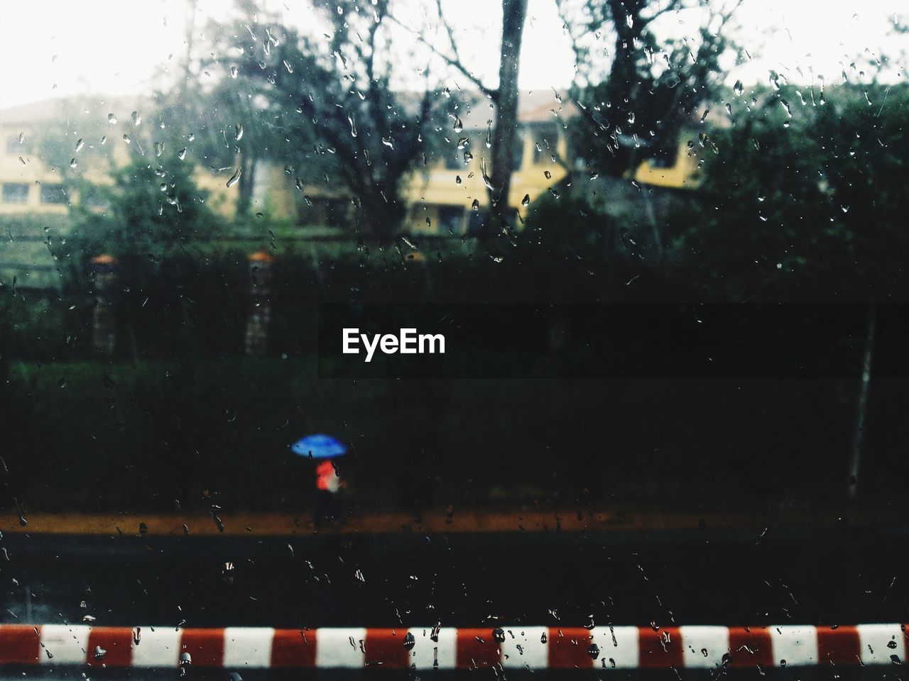 Side view of a person with umbrella walking on road