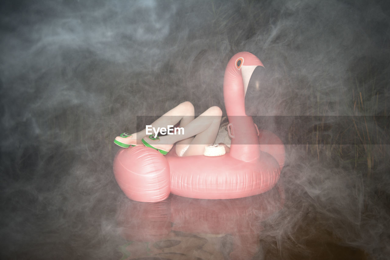 Foggy flamingo