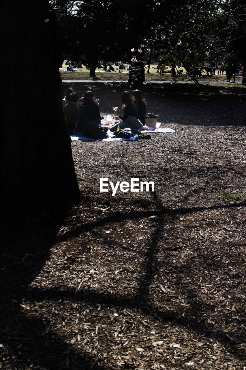 Friends sitting at park during springtime