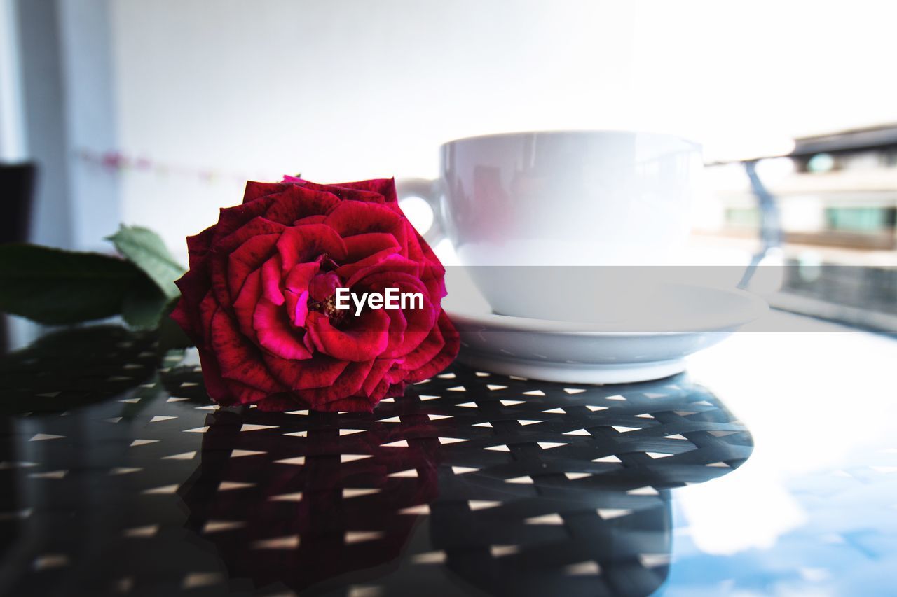 Close-up of fresh rose with coffee cup on table