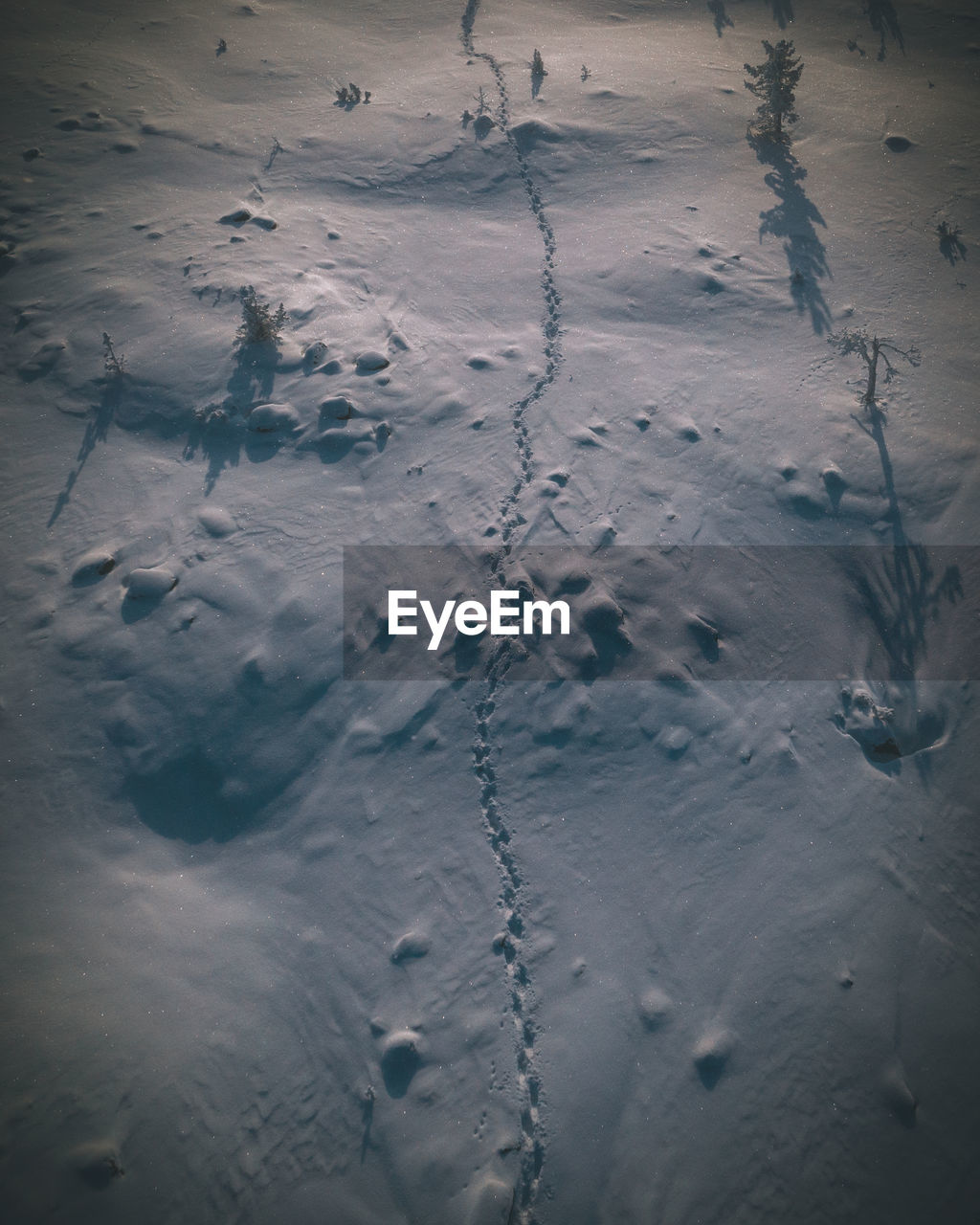 HIGH ANGLE VIEW OF FOOTPRINTS ON SNOW LAND