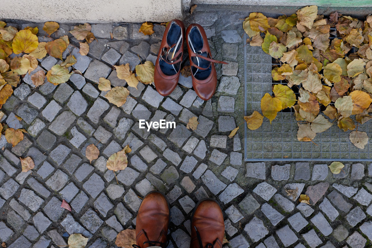 Directly above shot of brown shoes on footpath during autumn