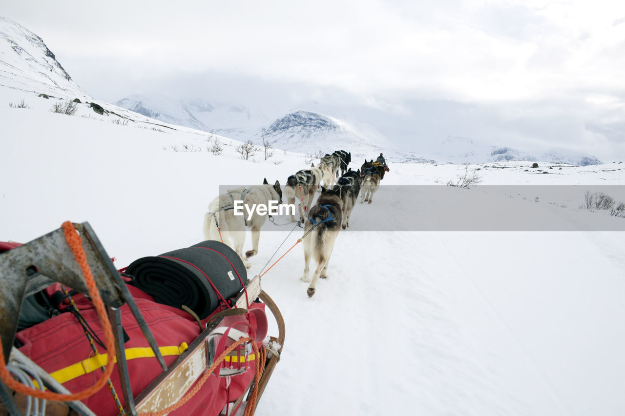 VIEW OF HORSE CART ON SNOW COVERED MOUNTAIN