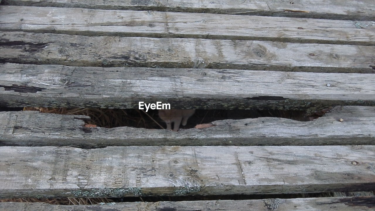 CLOSE-UP OF WOOD AGAINST WALL