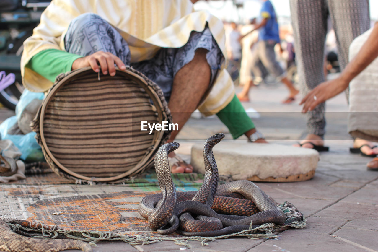 Charmer with basket sitting by snakes on street