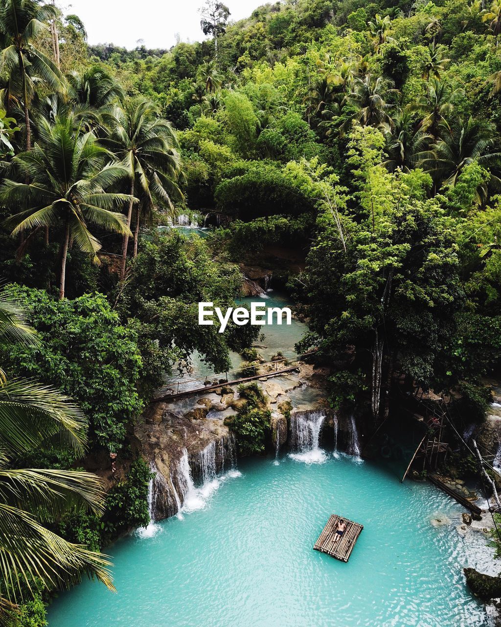 High angle view of swimming pool by trees