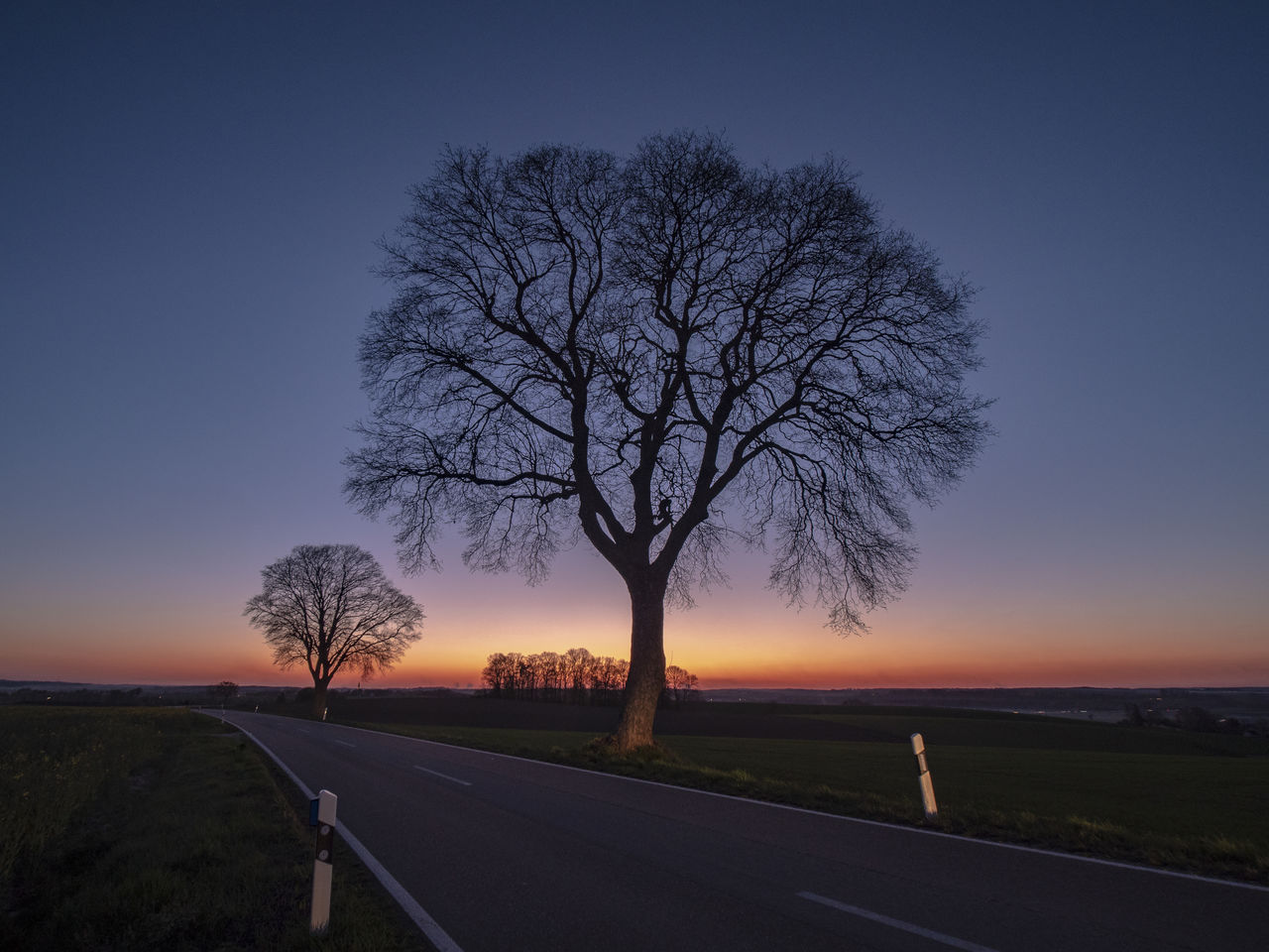 BARE TREE BY ROAD ON FIELD DURING SUNSET