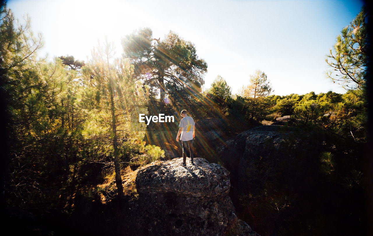 Rear view full length of man standing on rock at forest during sunny day