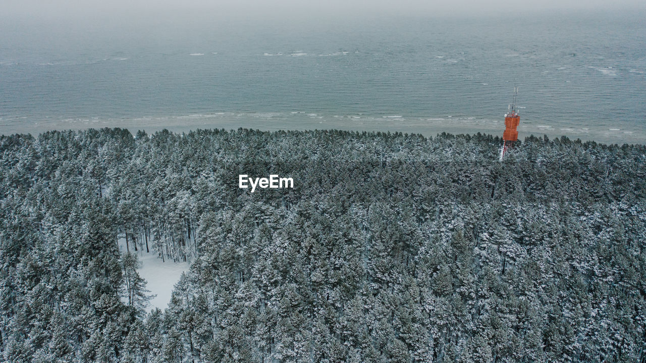 HIGH ANGLE VIEW OF SEA WAVES ON BEACH