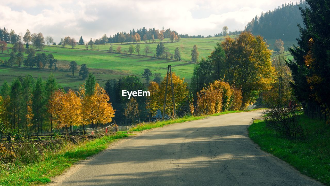 Road amidst plants and trees against sky