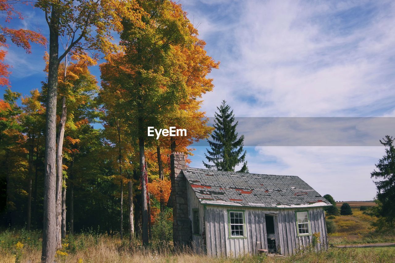 Trees and abandoned  house on field against sky during autumn