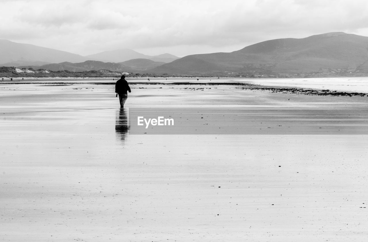 Rear view of man walking on shore