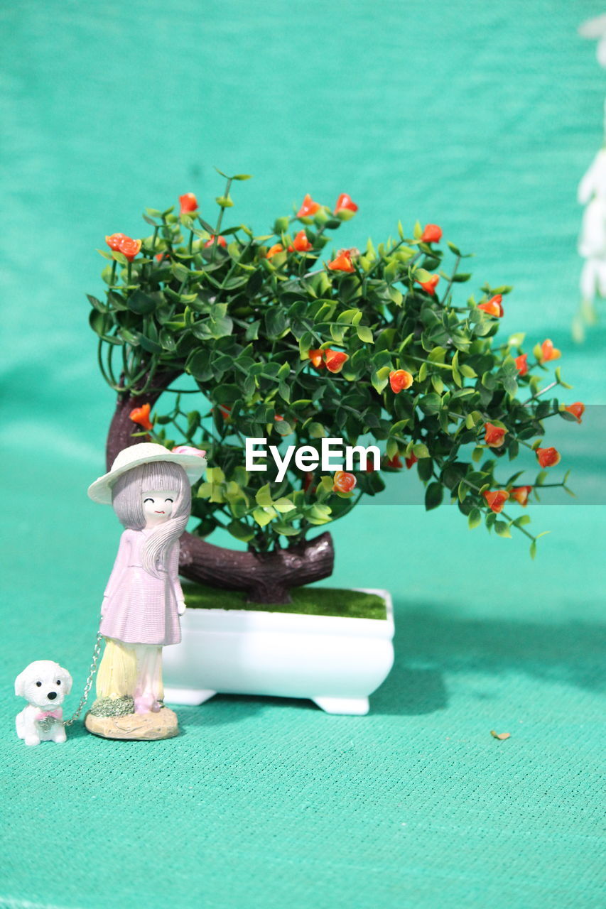 CLOSE-UP OF SMALL PLANT WITH TOY ON TABLE