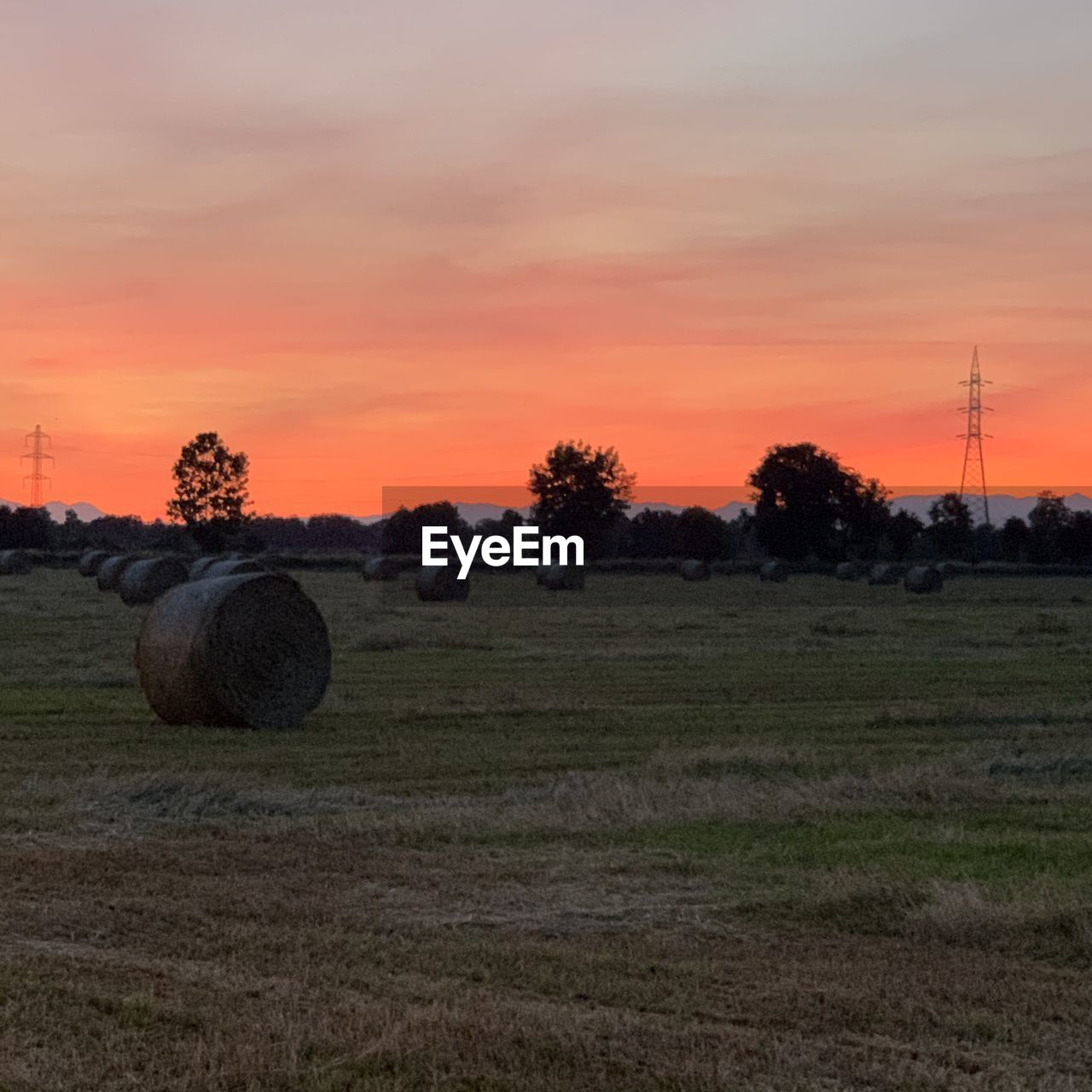 HAY BALES ON FIELD AGAINST SKY
