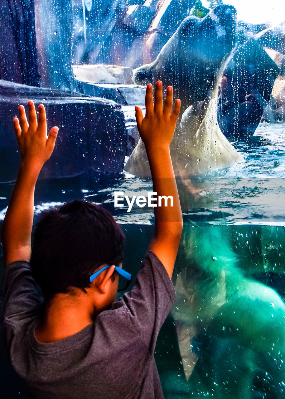 Rear view of boy looking at polar bear swimming in tank