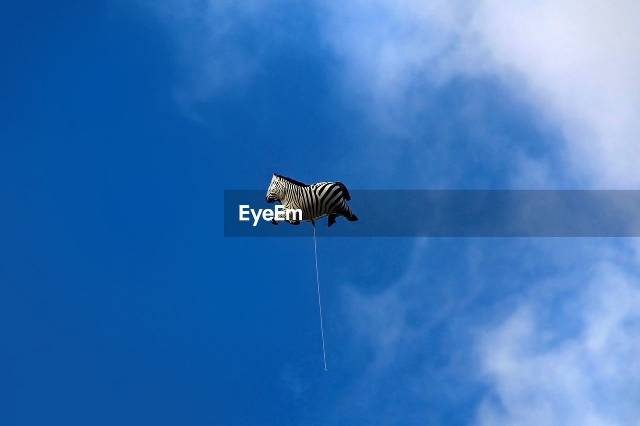 Low angle view of zebra helium balloon against sky