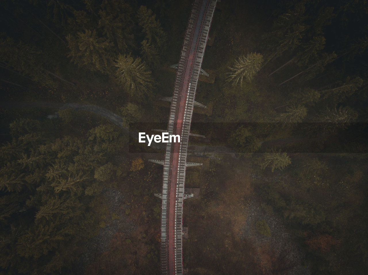 High angle view drone over a railroad bridge in a forest with pine trees