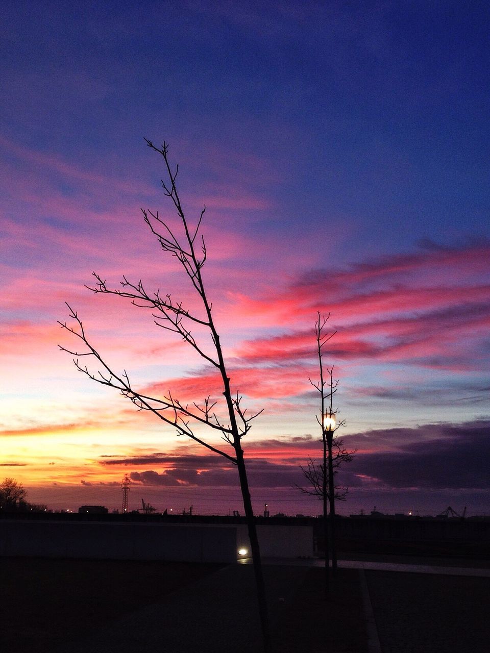 Silhouette bare tree by street against sky during sunset