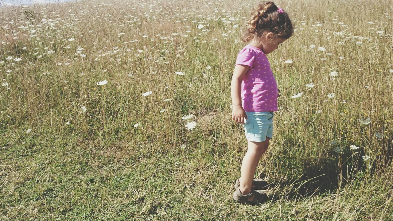 Small girl standing in meadow